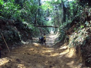 La route entre Monkoto et Bokele pendant les travaux