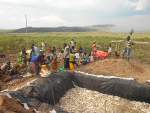 Bac de rouissage du manioc